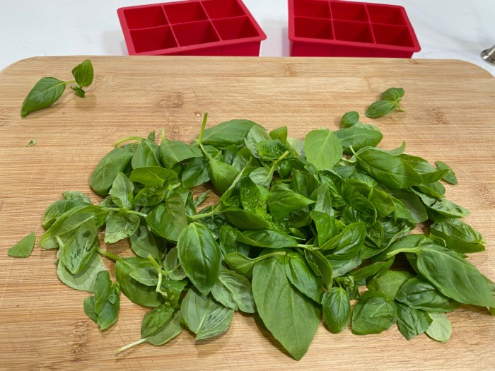 How to Dehydrate Basil and Freeze It