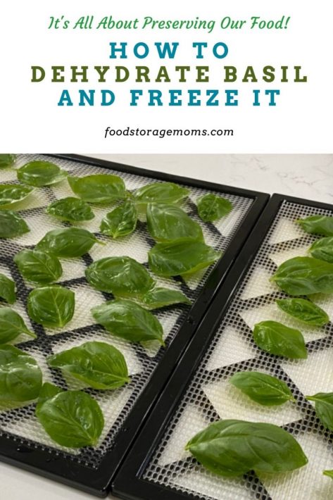 How to Dehydrate Basil and Freeze It