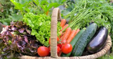 Self-Sufficient Garden: What to Grow