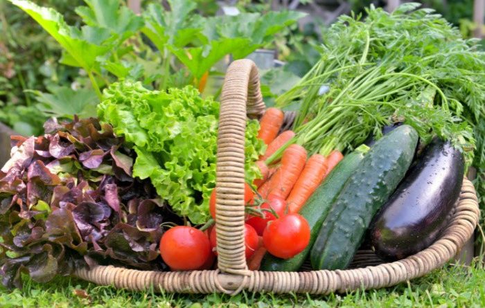 Self-Sufficient Garden: What to Grow