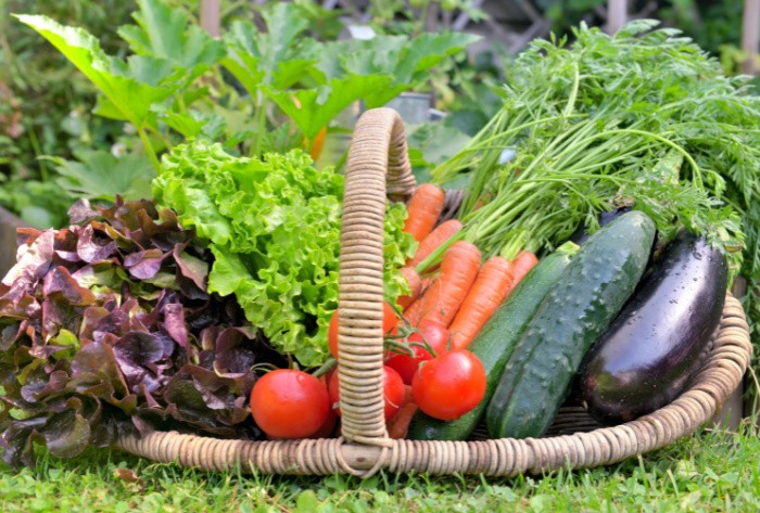 Self-Sufficient Garden: What to Grow