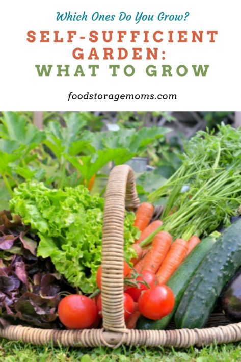 Self-Sufficient Garden: What to Grow