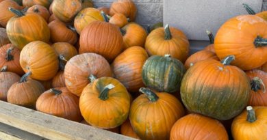 The Best Fall Bucket List