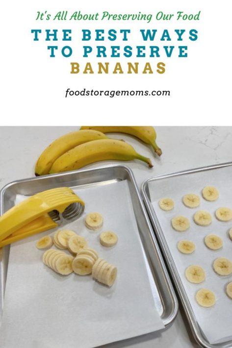 The Best Ways to Preserve Bananas