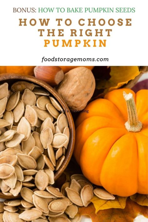 How To Choose The Right Pumpkin