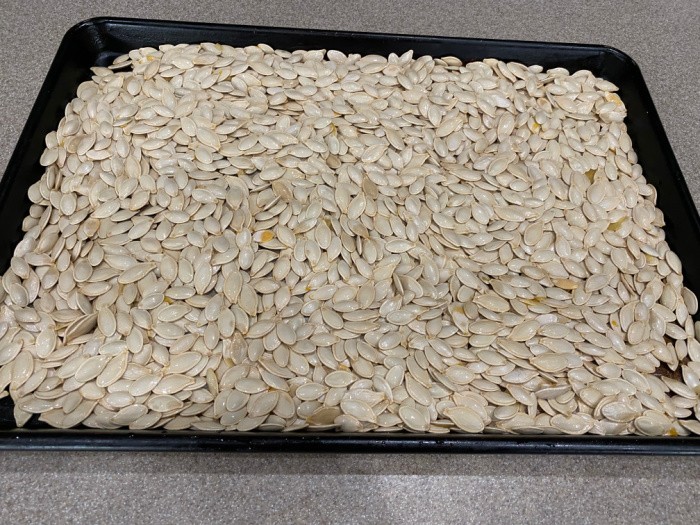 Clean Pumpkin Seeds