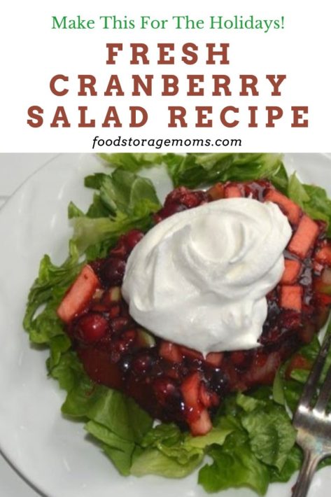 https://www.foodstoragemoms.com/wp-content/uploads/2021/11/Fresh-Cranberry-Salad-Recipe-P-1-473x710.jpg