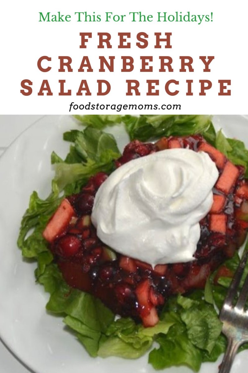 Fresh Cranberry Salad Recipe - Food Storage Moms