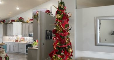Why Do We Have Christmas Trees?