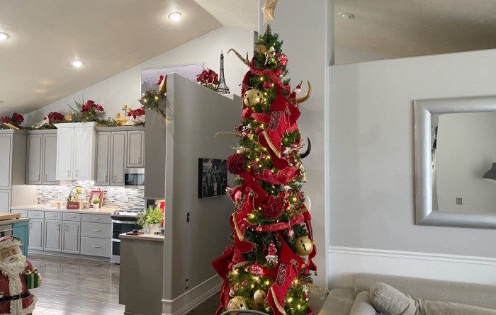 Why Do We Have Christmas Trees?