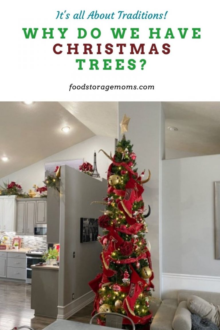 Why Do We Have Christmas Trees? Food Storage Moms