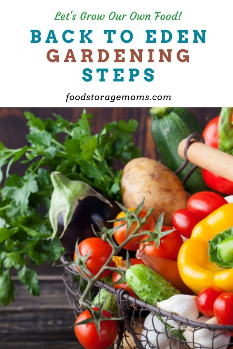 Back to Eden Gardening Steps Food Storage Moms