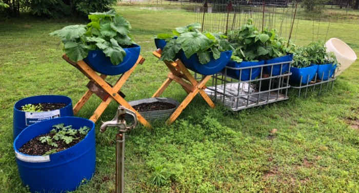 Barrel Gardens