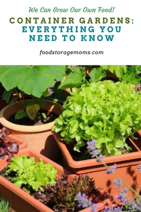 Container Gardens: Everything You Need To Know