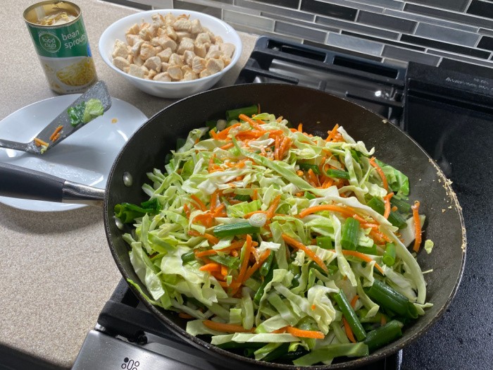 Homemade Chicken Chow Mein