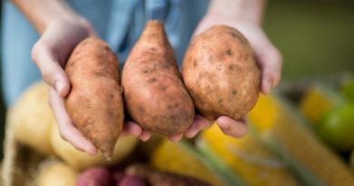 How To Grow Sweet Potatoes
