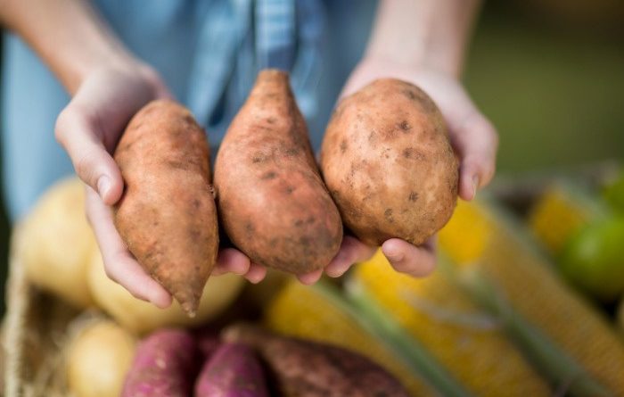 How To Grow Sweet Potatoes