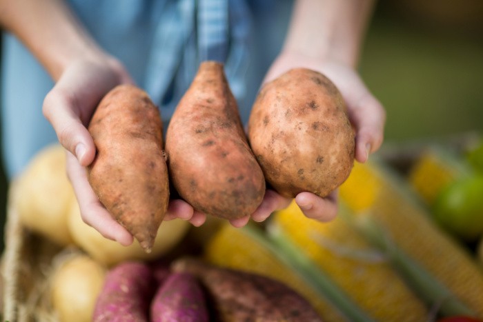 How To Grow Sweet Potatoes