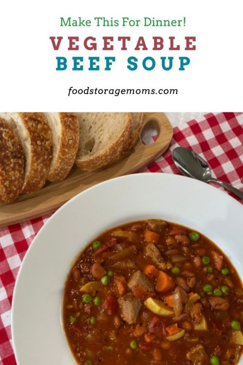 Vegetable Beef Soup