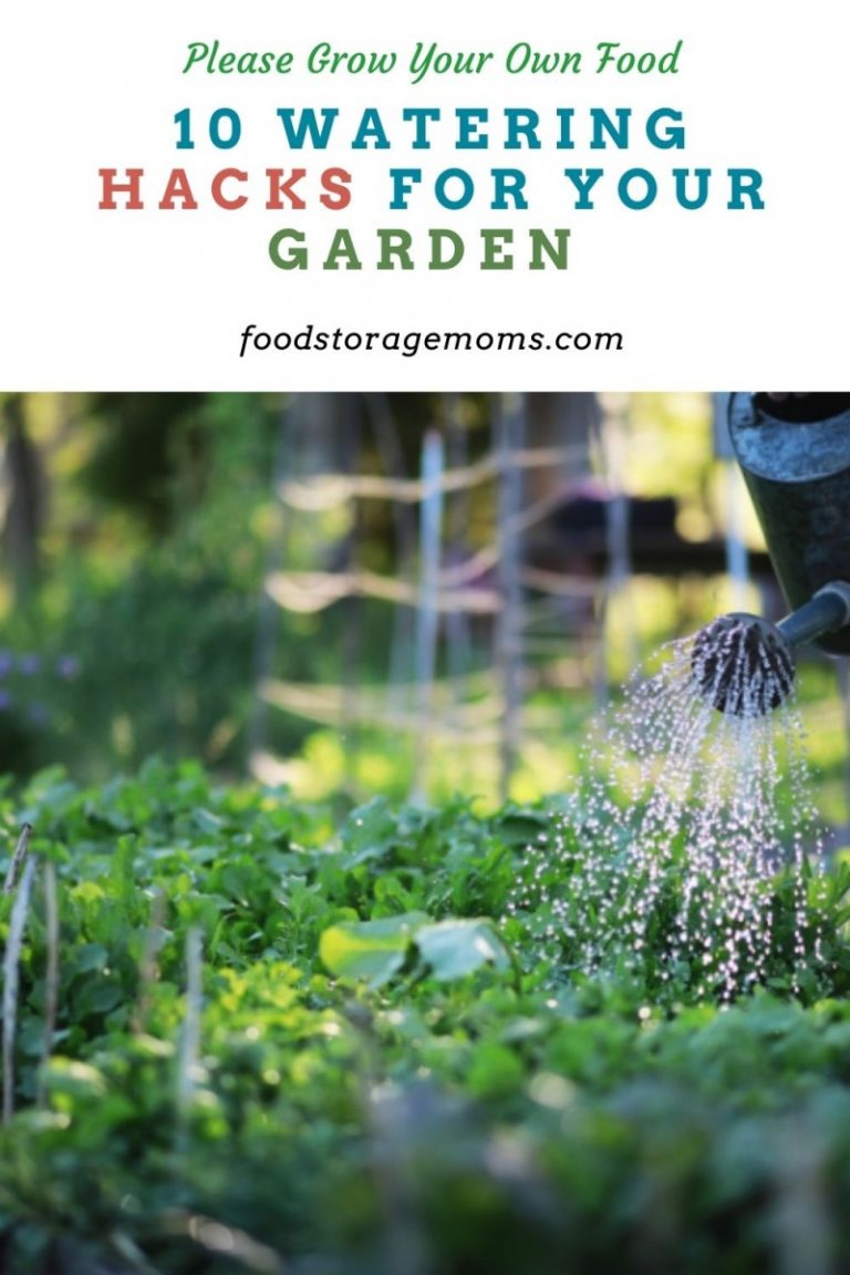 10 Watering Hacks for Your Garden Food Storage Moms