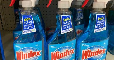 15 Mind-Blowing Ways to Use Windex