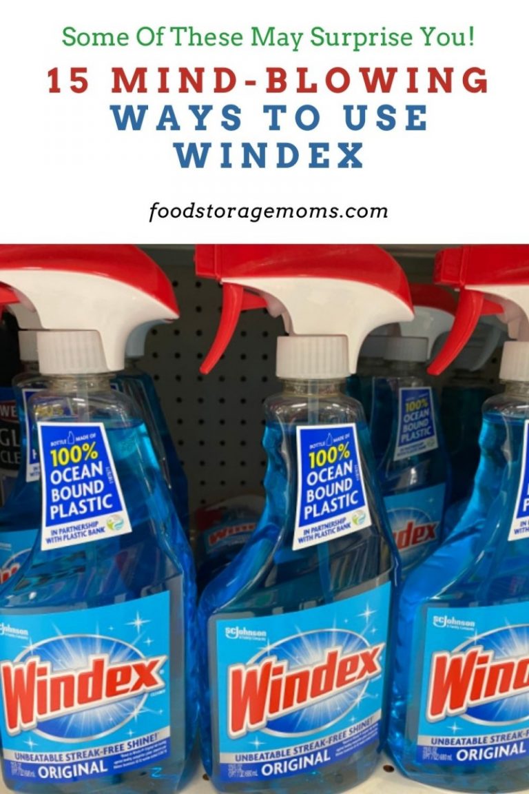 15 MindBlowing Ways to Use Windex Food Storage Moms