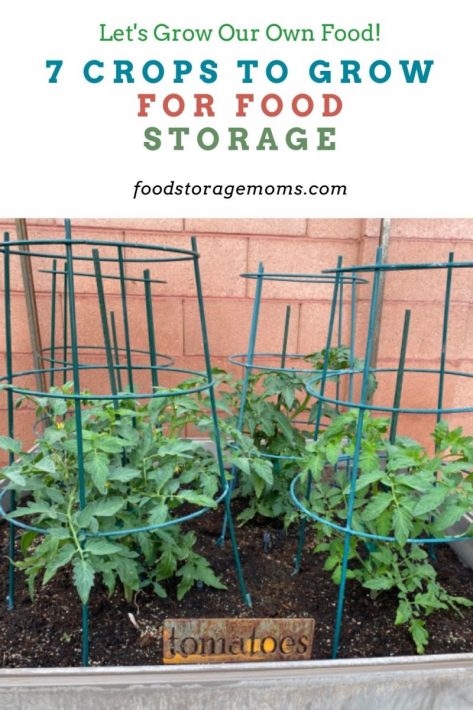 7 Crops To Grow For Food Storage