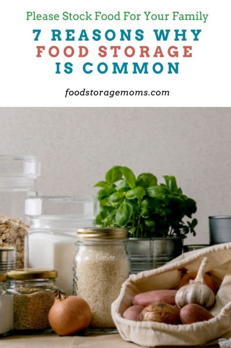 7 Reasons Why Food Storage Is Common