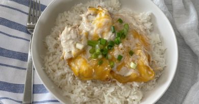 The Best Slow Cooker Chicken Recipe