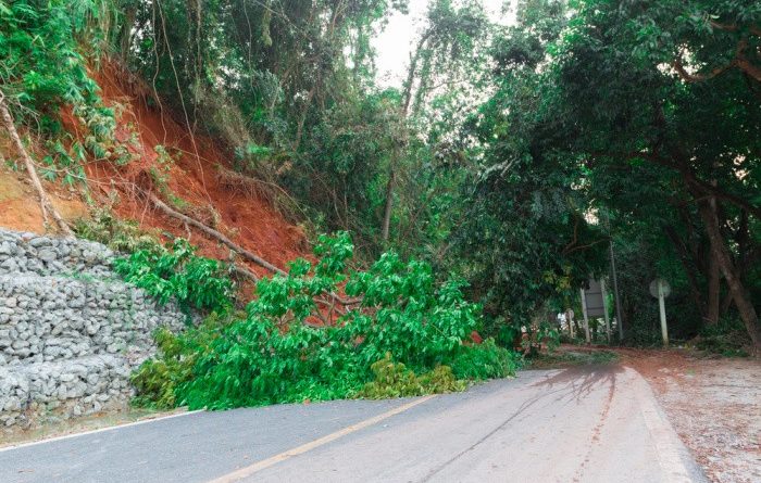 15 Quick Tips For Any Disaster