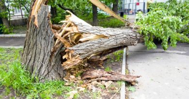 5 Last-Minute Easy Hurricane Preparedness Tips
