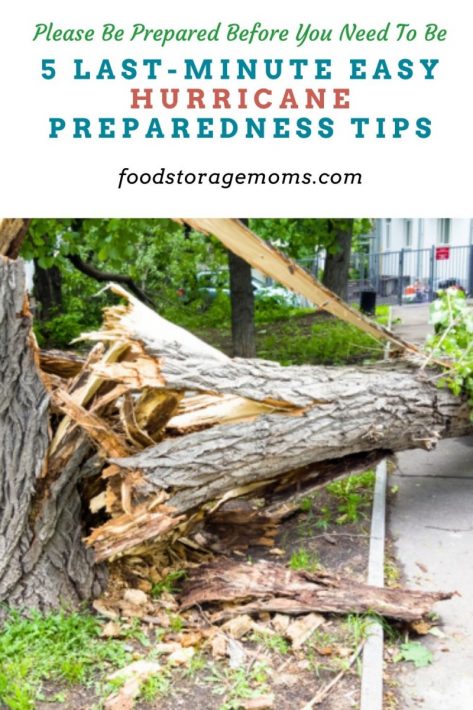 5 Last-Minute Easy Hurricane Preparedness Tips