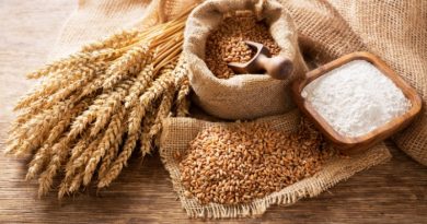 Did You Know These 8 Fascinating Wheat Facts?