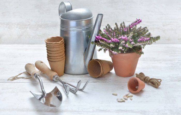 6 Eye-opening Reasons To Stock Up On Garden Seeds NOW!