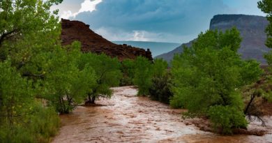 6 Vital Tasks During a Flash Flood Warning