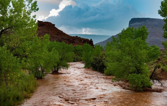 6 Vital Tasks During a Flash Flood Warning