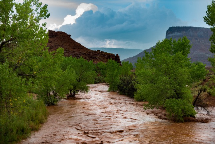 6 Vital Tasks During a Flash Flood Warning