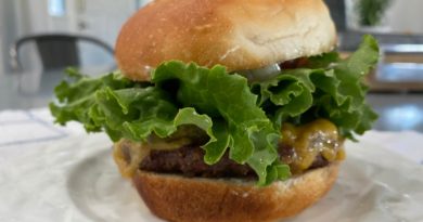 Homemade Hamburger Buns In One Hour