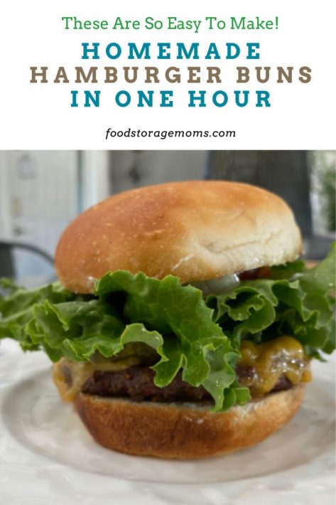 Homemade Hamburger Buns In One Hour