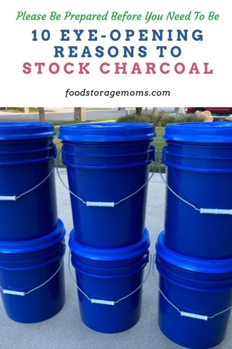 10 Eye-Opening Reasons to Stock Charcoal