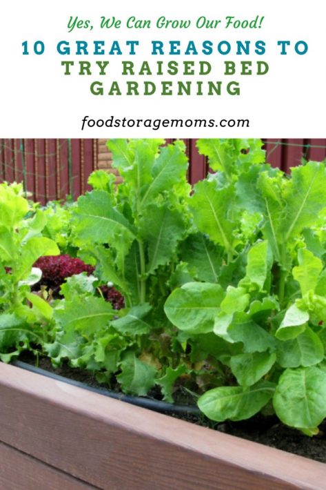 10 Great Reasons To Try Raised Bed Gardening