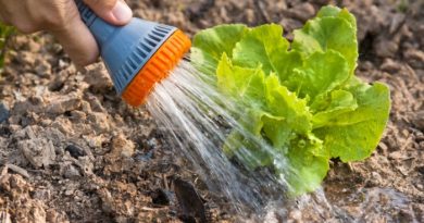 6 Interesting Things You May Not Know About Drought