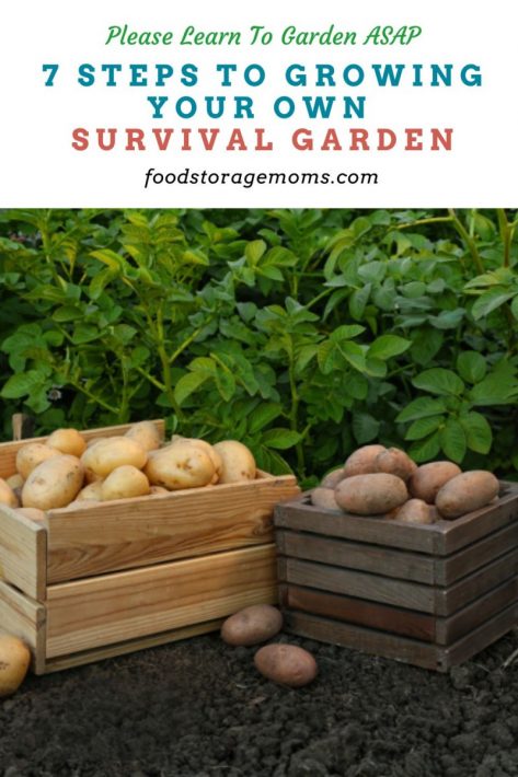 7 Steps to Growing Your Own Survival Garden