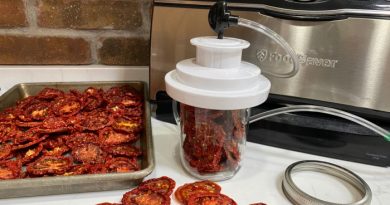 Dehydrated Foods: Are They Good for You?