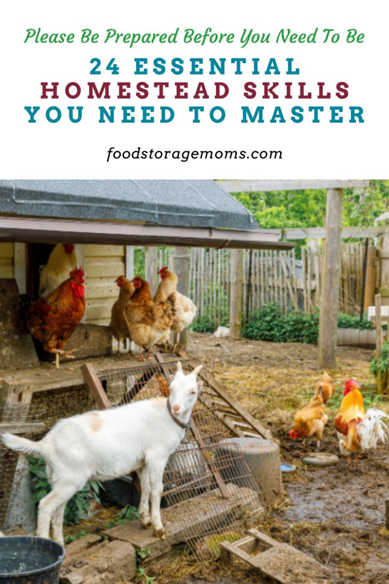 24 Essential Homestead Skills You Need to Master