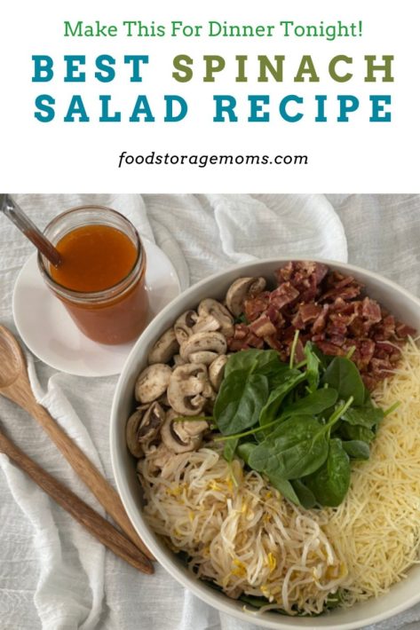 Best Spinach Salad Recipe