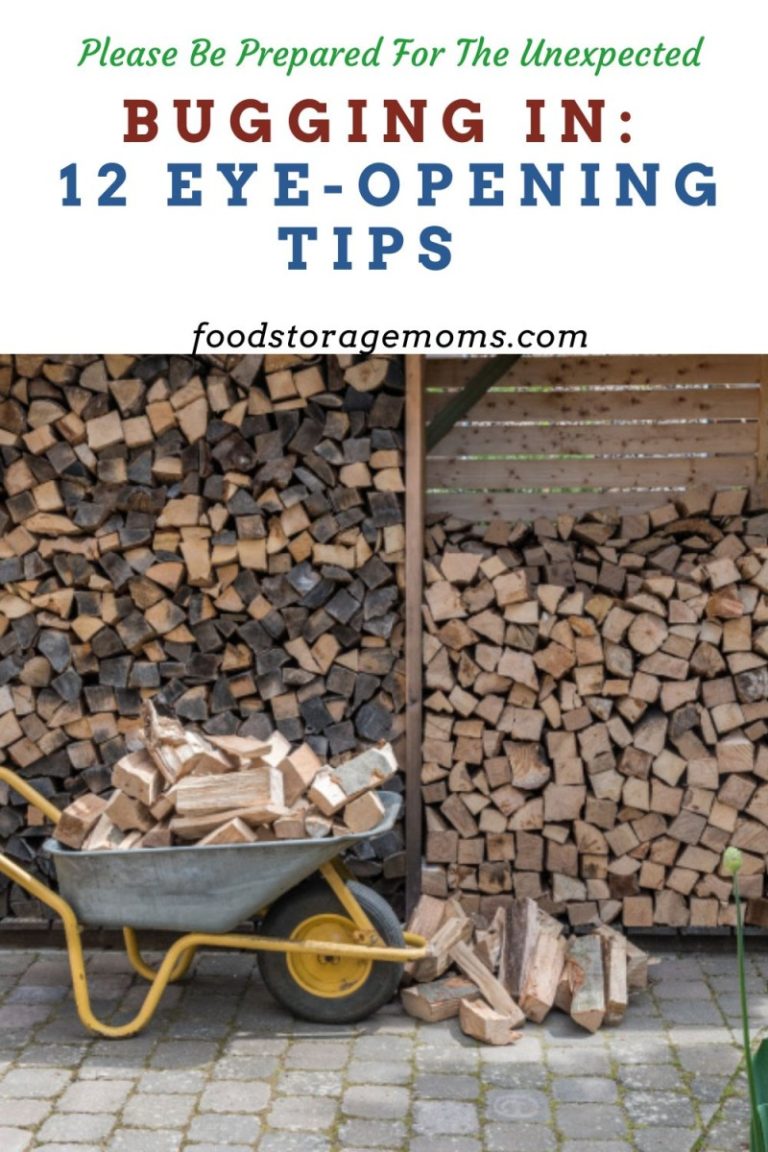 Bugging Into Spring Bugging In: 12 Eye-Opening Tips - Food Storage Moms