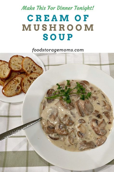 Cream of Mushroom Soup