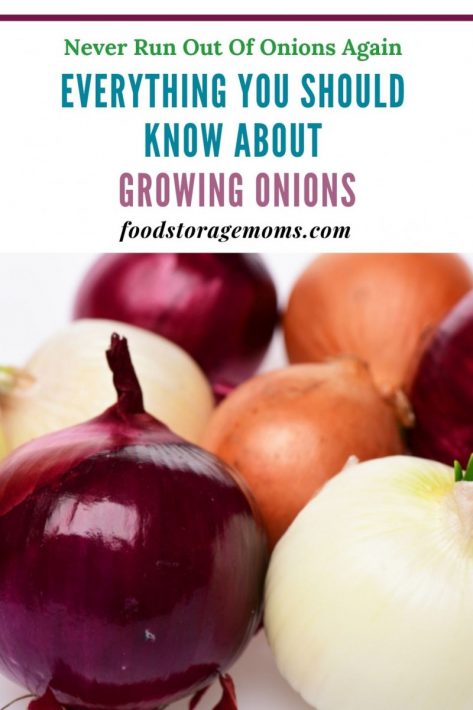 Everything You Should Know About Growing Onions