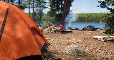5 Vital Wilderness Survival Skills For Teens